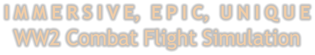 I M M E R S I V E,  E P I C,  U N I Q U EWW2 Combat Flight Simulation