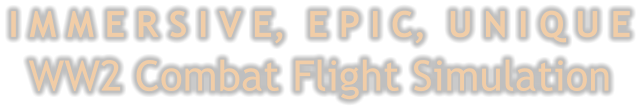 I M M E R S I V E,  E P I C,  U N I Q U EWW2 Combat Flight Simulation