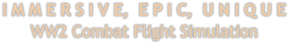 I M M E R S I V E,  E P I C,  U N I Q U EWW2 Combat Flight Simulation